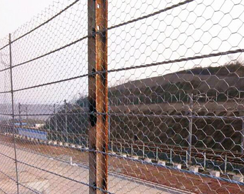 ߅�·��o�������g(sh��)